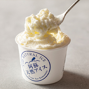 カップジェラート／阿蘇天然あいす